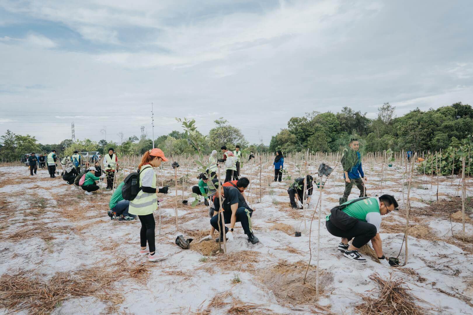 BLNG Tree Planting 2024-105