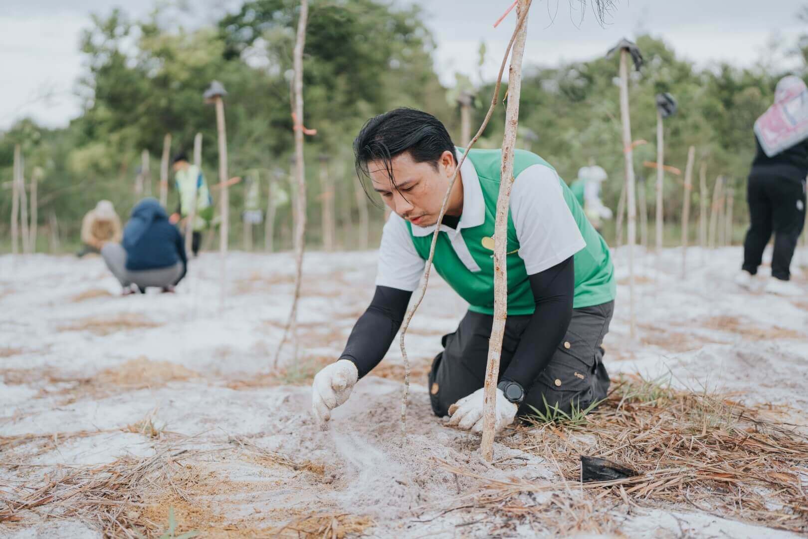 BLNG Tree Planting 2024-116