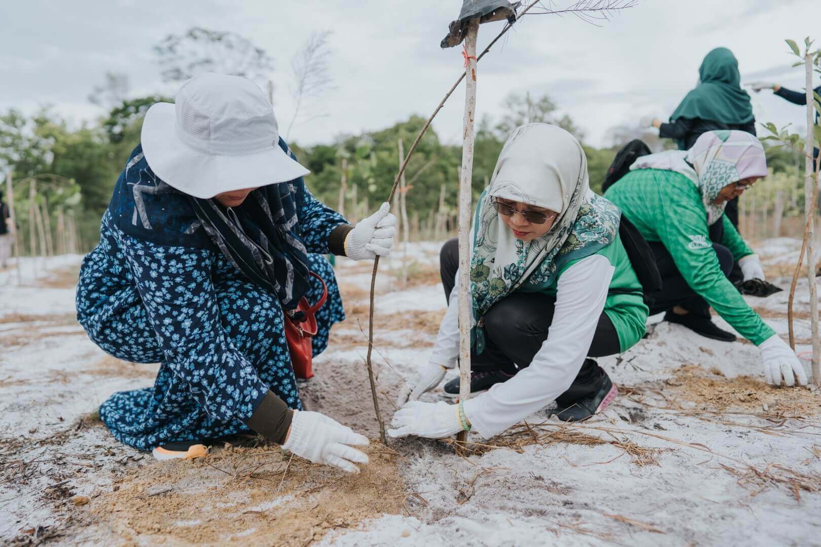 BLNG Tree Planting 2024-98