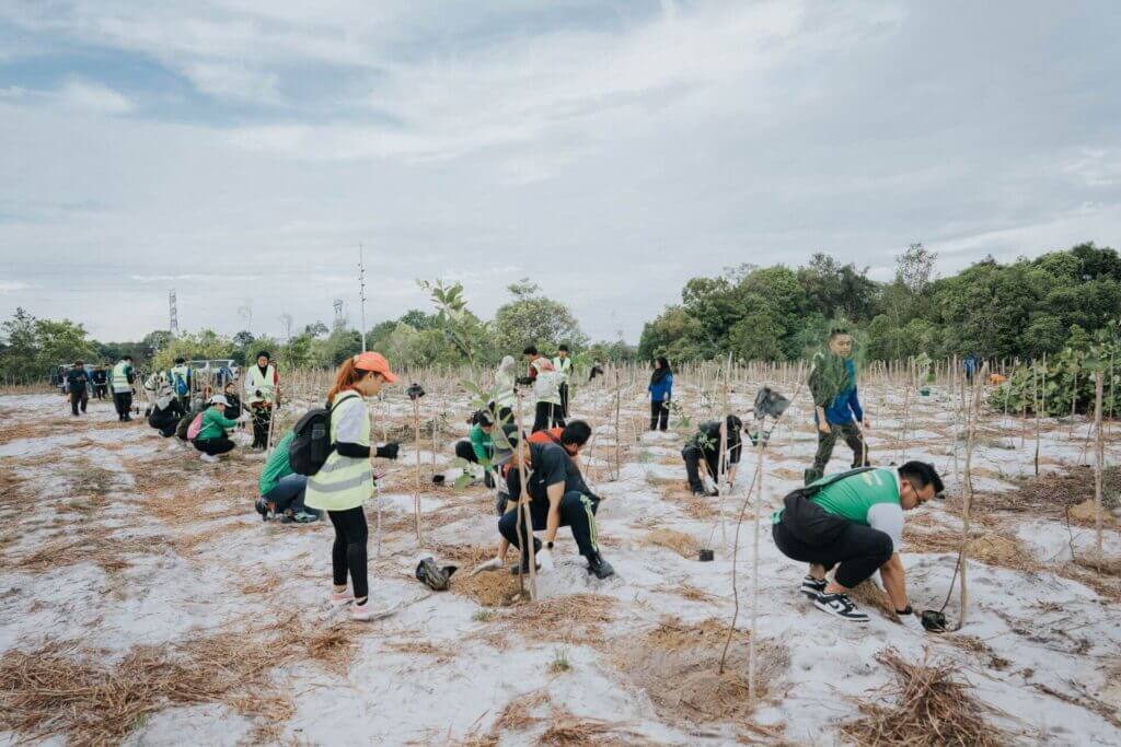 BLNG Tree Planting 2024-105